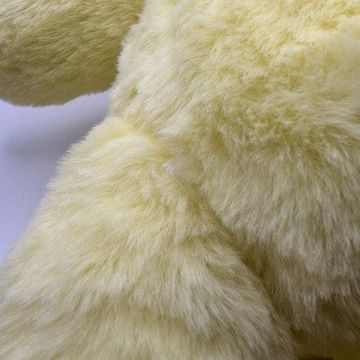2023 Pompompurin with Pyjamas